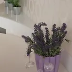 Lisi Jar Apartamento Jastrzębia Góra