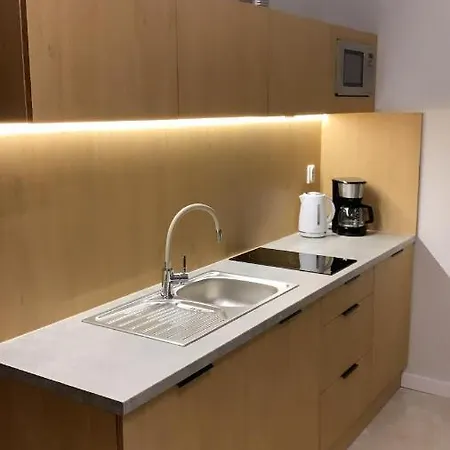 Apartament Lisi Jar Apartment Jastrzebia Gora