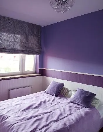 Apartament Lisi Jar Apartment