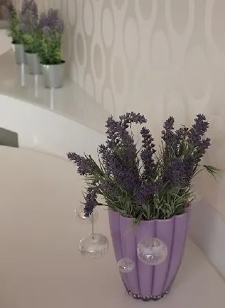 Lisi Jar Lejlighed Jastrzębia Góra