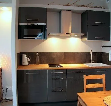 Apartment Apartament Lisi Jar Jastrzebia Gora