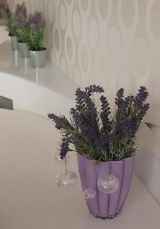 Lisi Jar شقة Jastrzębia Góra